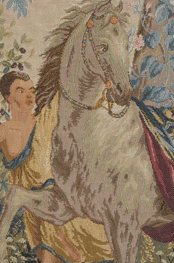 Cheval Drape II French Tapestry