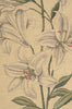 White Amaryllis Large European Tapestry