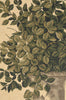 Greenery Beige European Tapestry