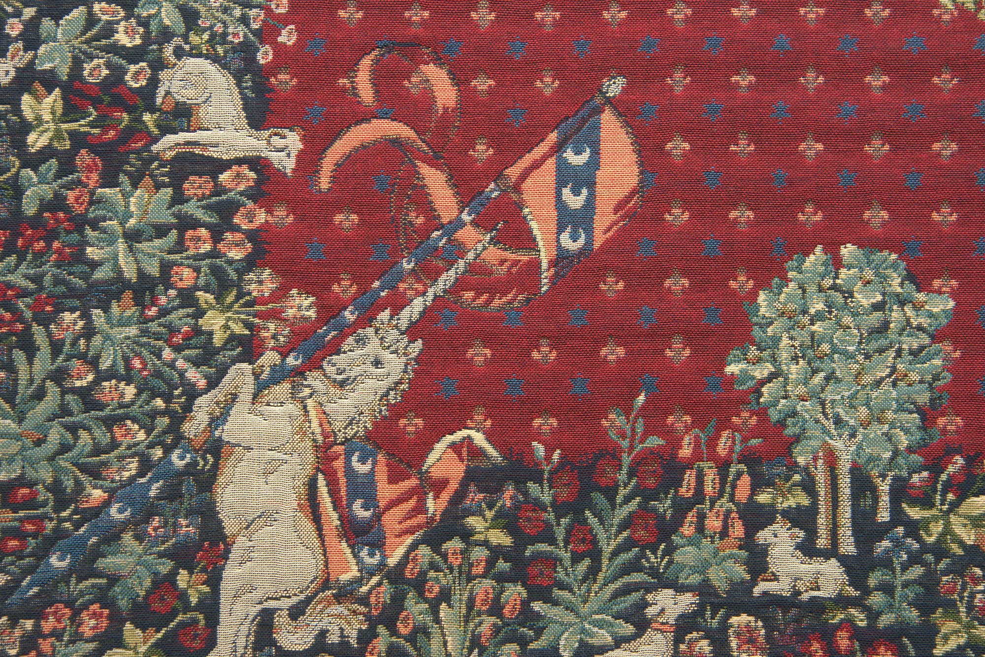 The Unicorn I European Throw