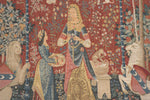 The Smell 1 Large French Tapestry Cushion