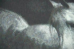 Horse in Charcoal Decorative Pillow Cushion Cover