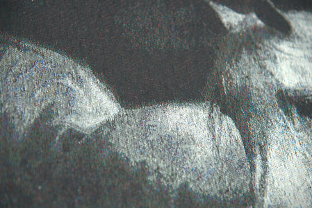 Horse in Charcoal Decorative Pillow Cushion Cover