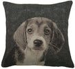 Puppy Dog Eyes II Decorative Pillow Cushion Cover