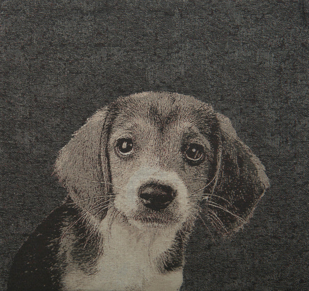 Puppy Dog Eyes II Decorative Pillow Cushion Cover