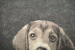 Puppy Dog Eyes II Decorative Pillow Cushion Cover