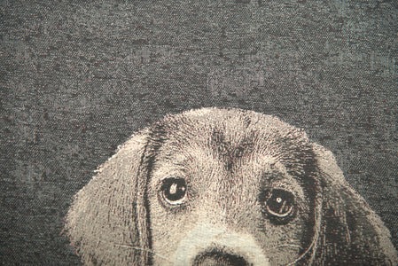 Puppy Dog Eyes II Decorative Pillow Cushion Cover