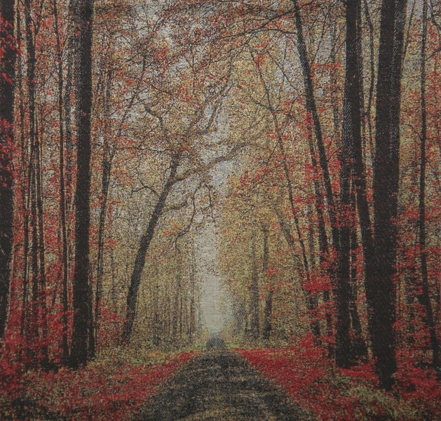 The Autumn Glade Path Decorative Pillow Cushion Cover