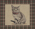 Gatto Italian Tapestry Cushion