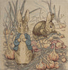 Benjamin Beatrix Potter  European Cushion Cover