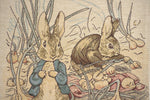 Benjamin Beatrix Potter  European Cushion Cover
