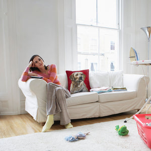 Labrador Red Belgian Cushion Cover