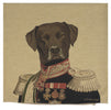 Baron Labrador Black European Cushion Cover