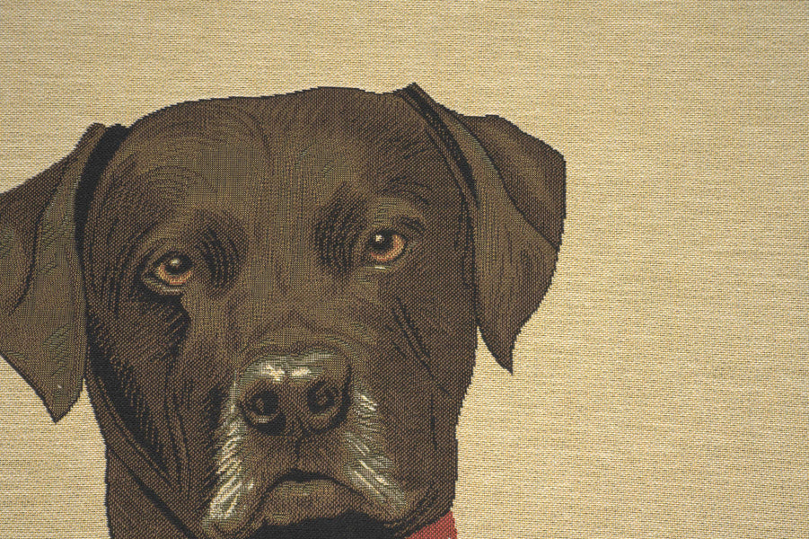 Baron Labrador Black European Cushion Cover
