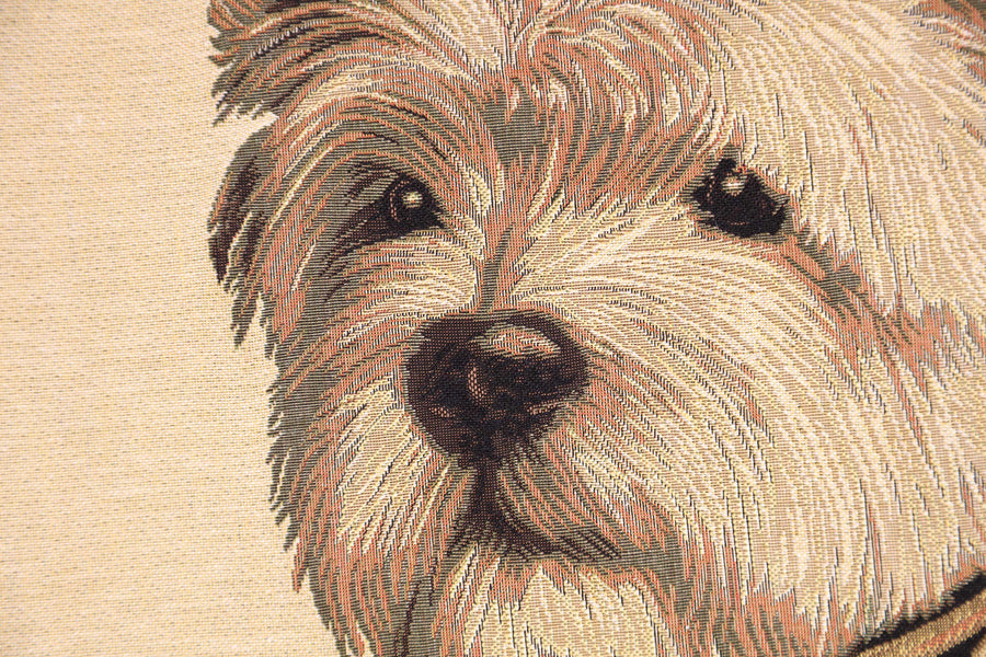 Ambassador Westy  European Cushion Cover