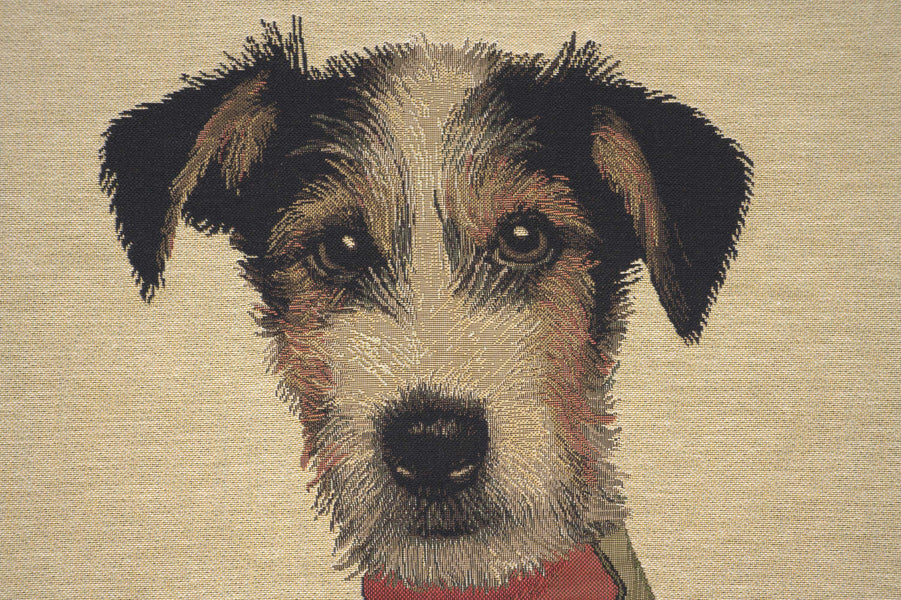 Percival Terrier Green European Cushion Cover