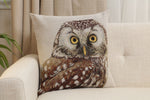 Superb Owl Cushion  Cover