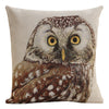 Superb Owl Cushion  Cover