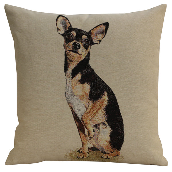 Mini Pincer Cushion  Cover