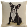 Boston Terrier Cushion  Cover