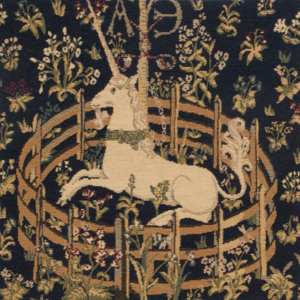 Captive Unicorn I European Cushion Cover