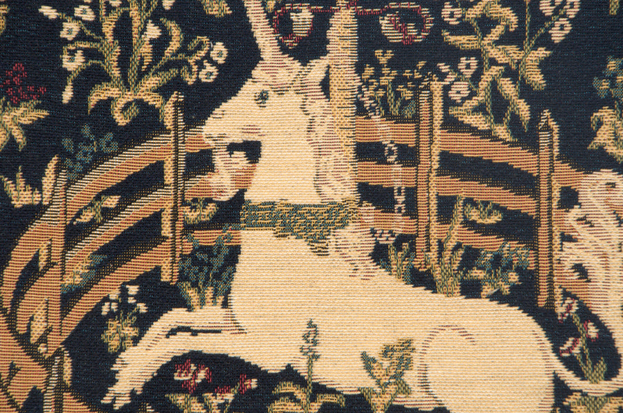 Captive Unicorn I European Cushion Cover