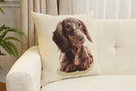 Little Dasch Cushion  Cover