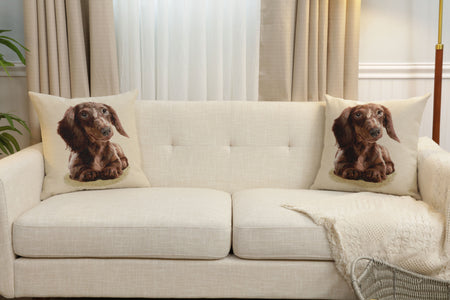 Little Dasch Cushion  Cover