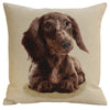 Little Dasch Cushion  Cover