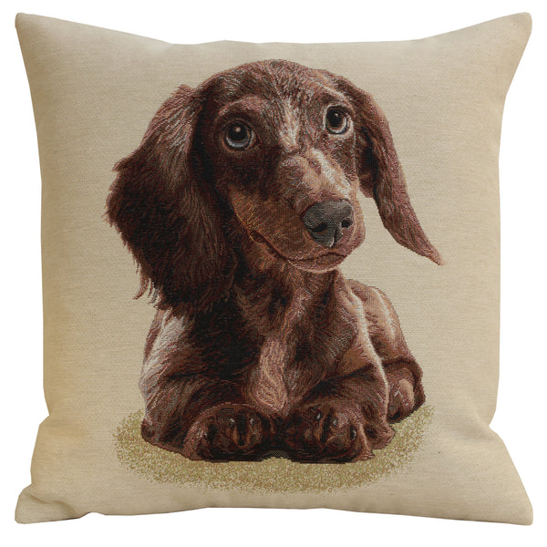 Little Dasch Cushion  Cover