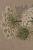 Umbels French Tapestry Table Runner