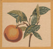 Redoute-Orange European Cushion Cover