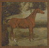 Alezan Horse French Tapestry Cushion