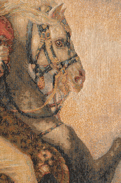Cavalier de la Garde Imperiale French Tapestry