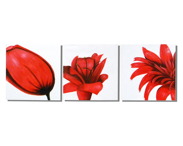 Red Flower Trilogy Canvas Art