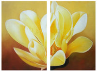 Sunlit Blossom Canvas Art