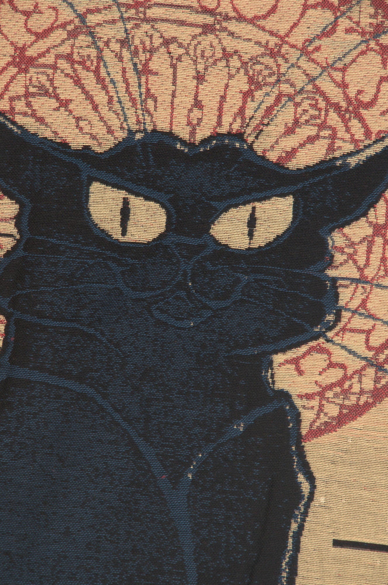 Chat Noir European Throw