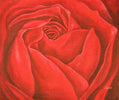 Red Rose Canvas Wall Art