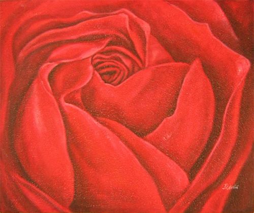 Red Rose Canvas Wall Art