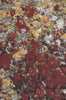 Monet's Maison European Throw