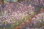 Monet's Iris Garden European Cushion Cover