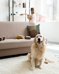 The Chair Belgian Cushion Cover