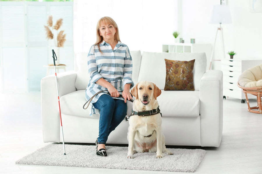 Sunflowers Yellow Belgian Cushion Cover