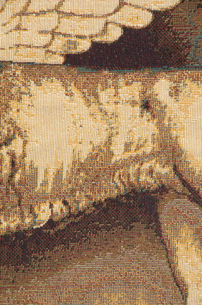 Lion with Books Italian Tapestry Wall Hanging