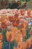 Keukenhof VI Belgian Tapestry