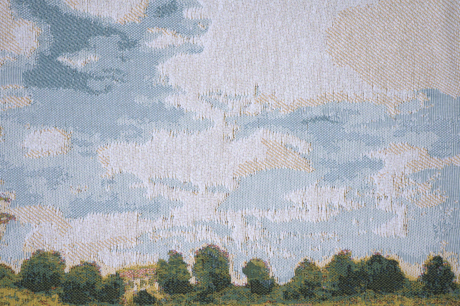 Monet's Poppy Field European Cushion Cover