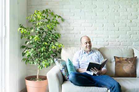 Danseuse Etoile II European Cushion Cover