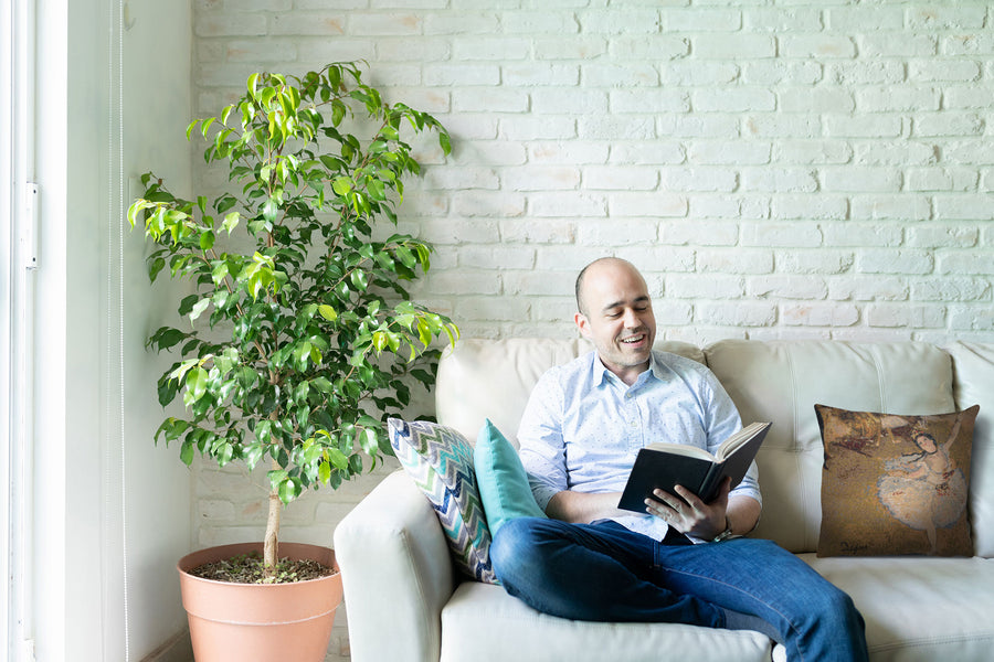 Danseuse Etoile II European Cushion Cover