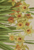 Daffodils White French Tapestry Table Runner