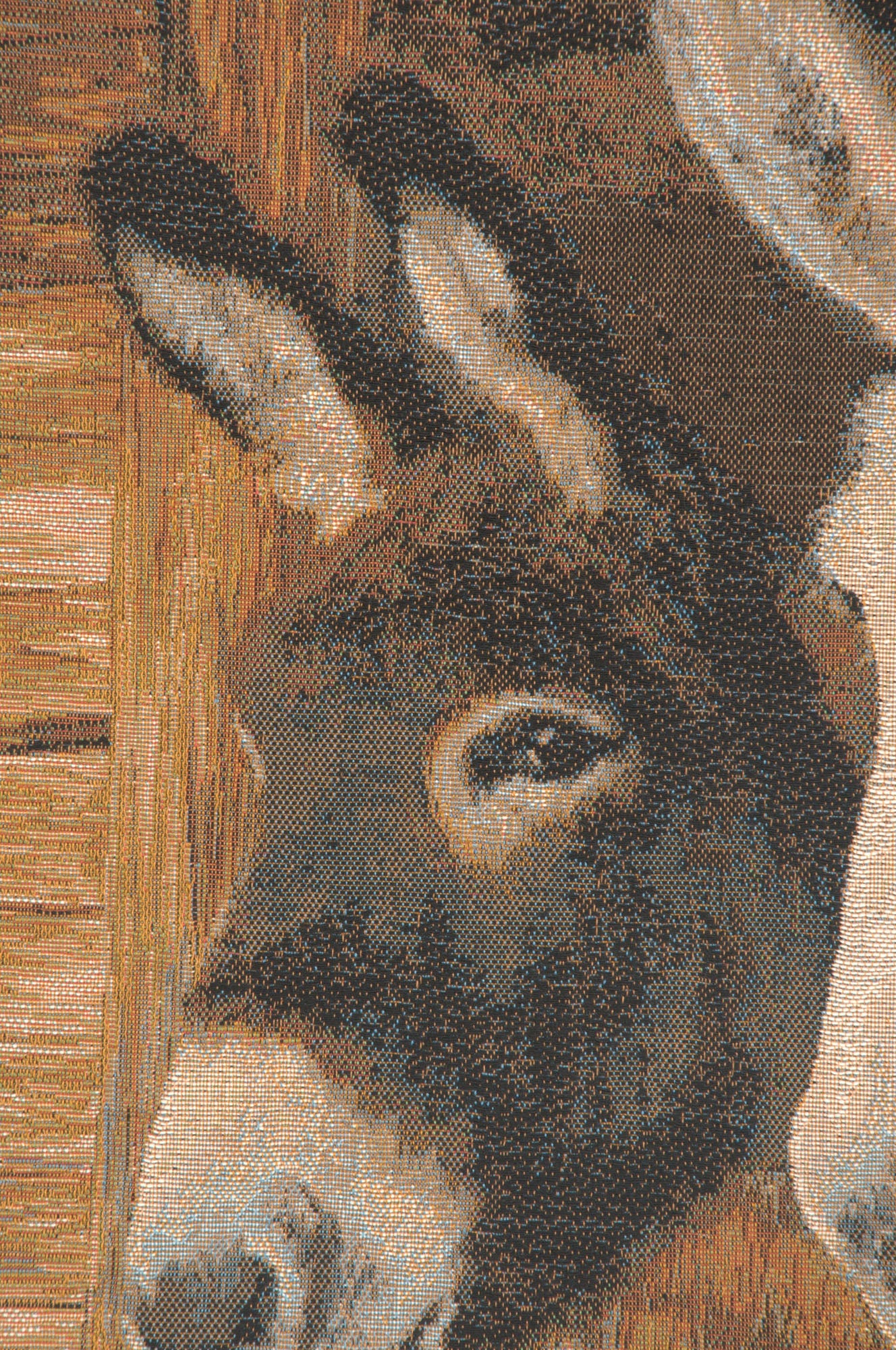 Donkeys French Tapestry Cushion